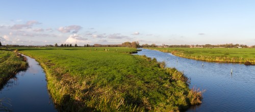 Polder