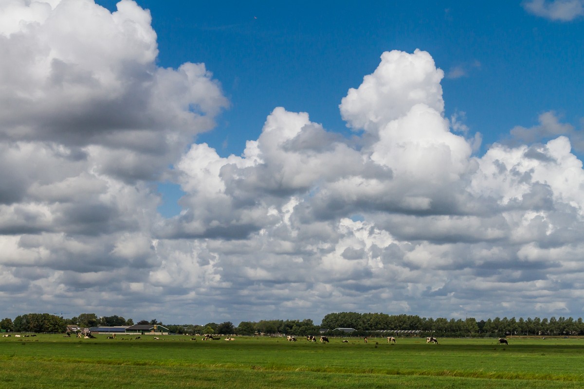 foto: [20180824PV9606]