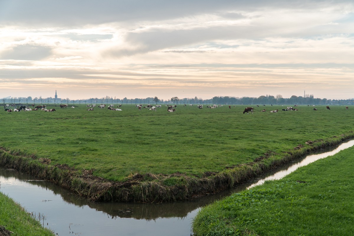 foto: [20181109PV5569]