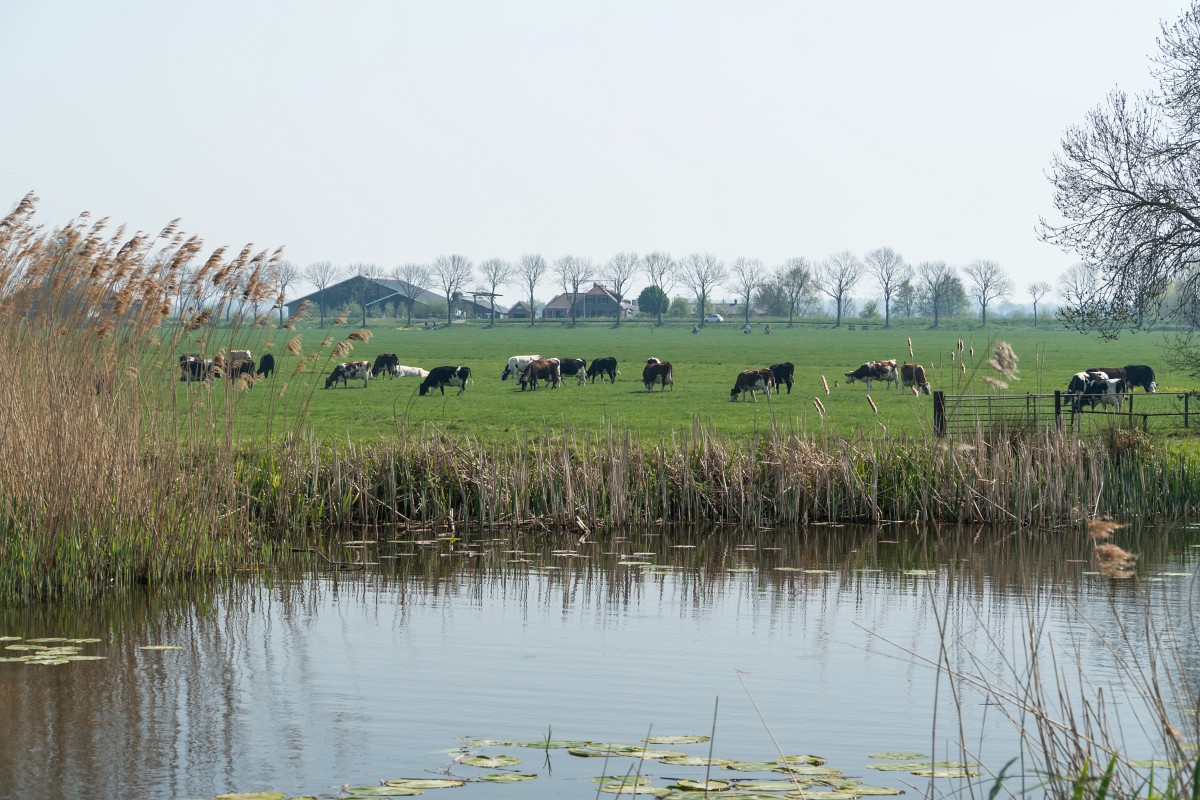 foto: [20190421PV7402]