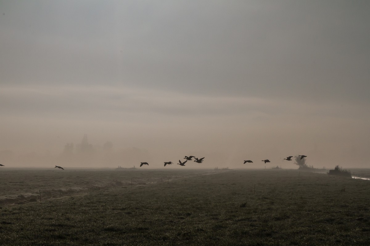 foto: [20191110PV0335]