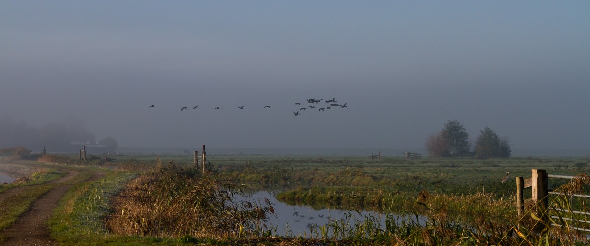 foto: [20191110PV0341]