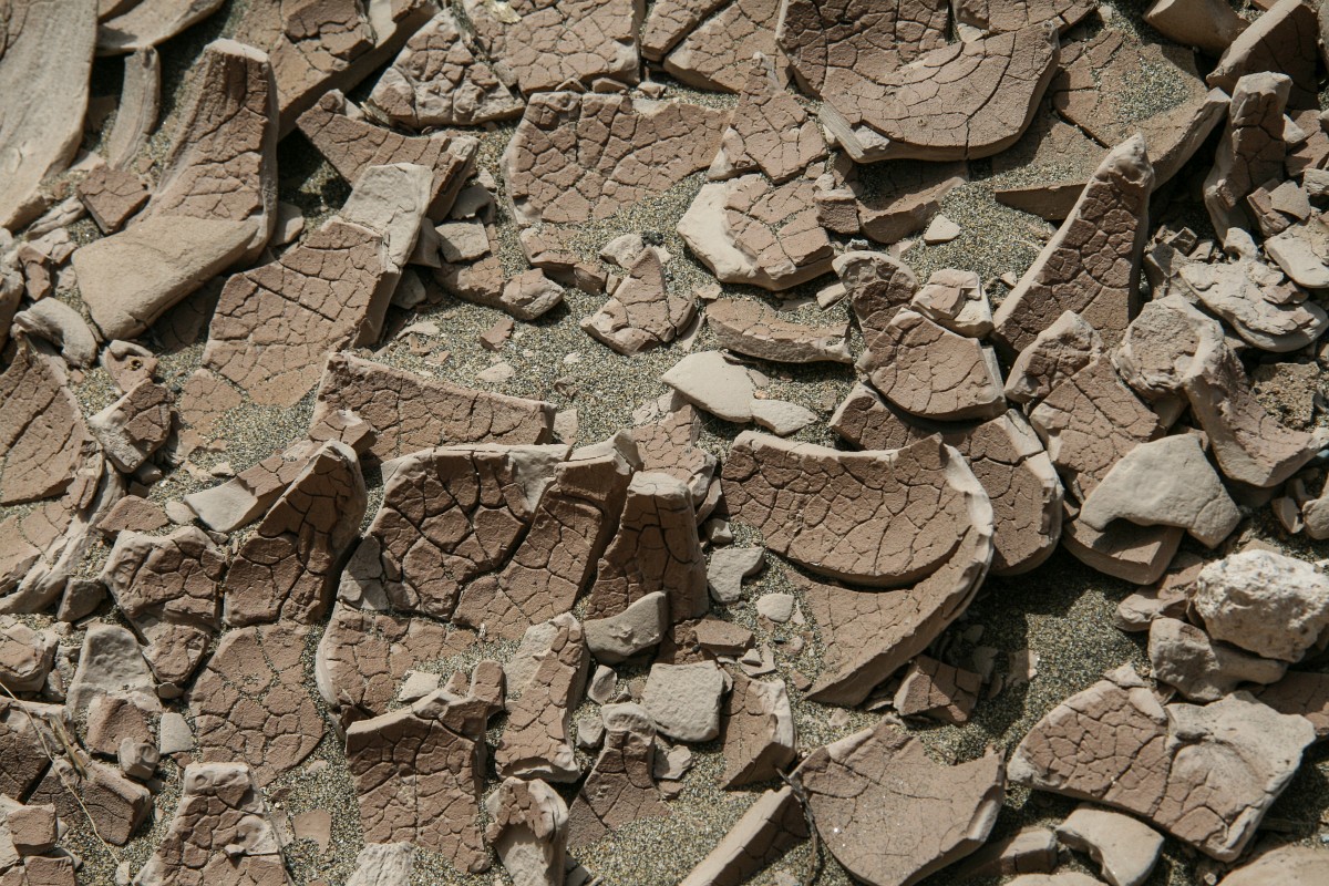 foto: [20080402PV4923]