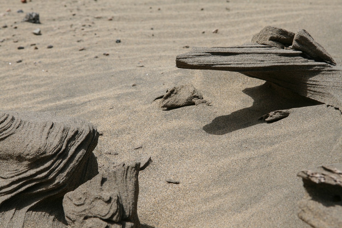 foto: [20080402PV4926]