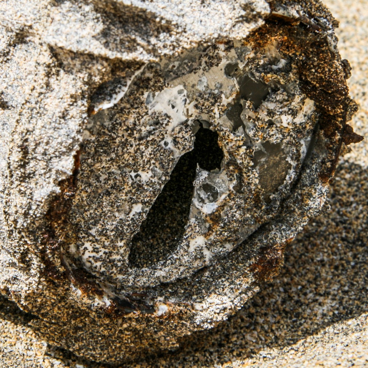 foto: [20080402PV4947-2]