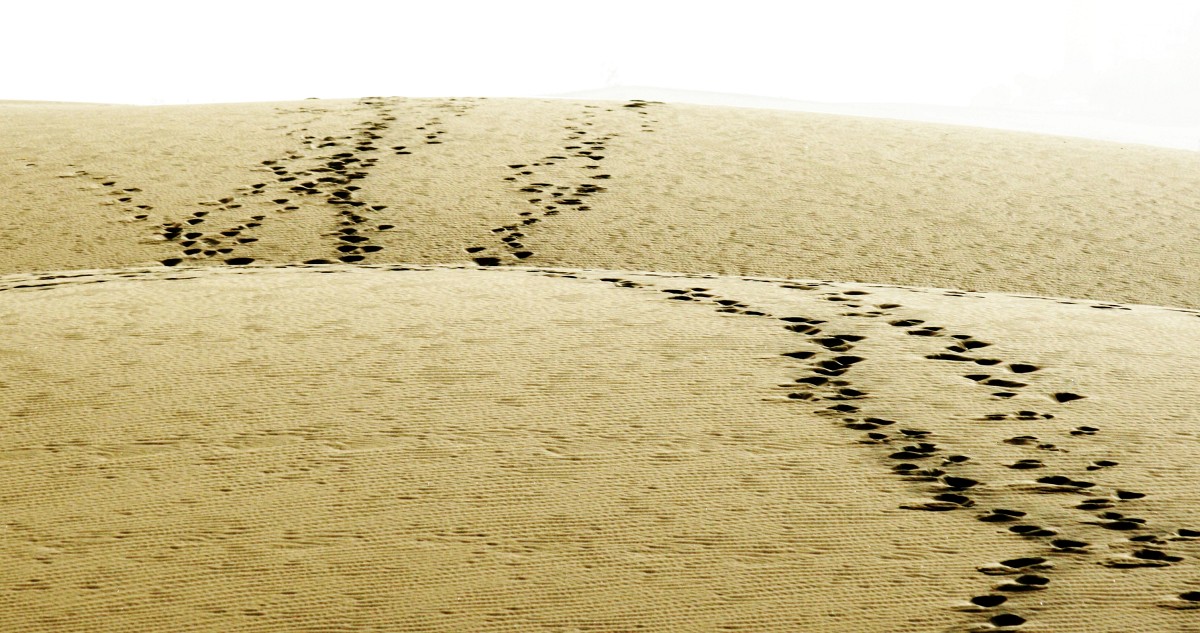 foto: [20080403PV5097A]