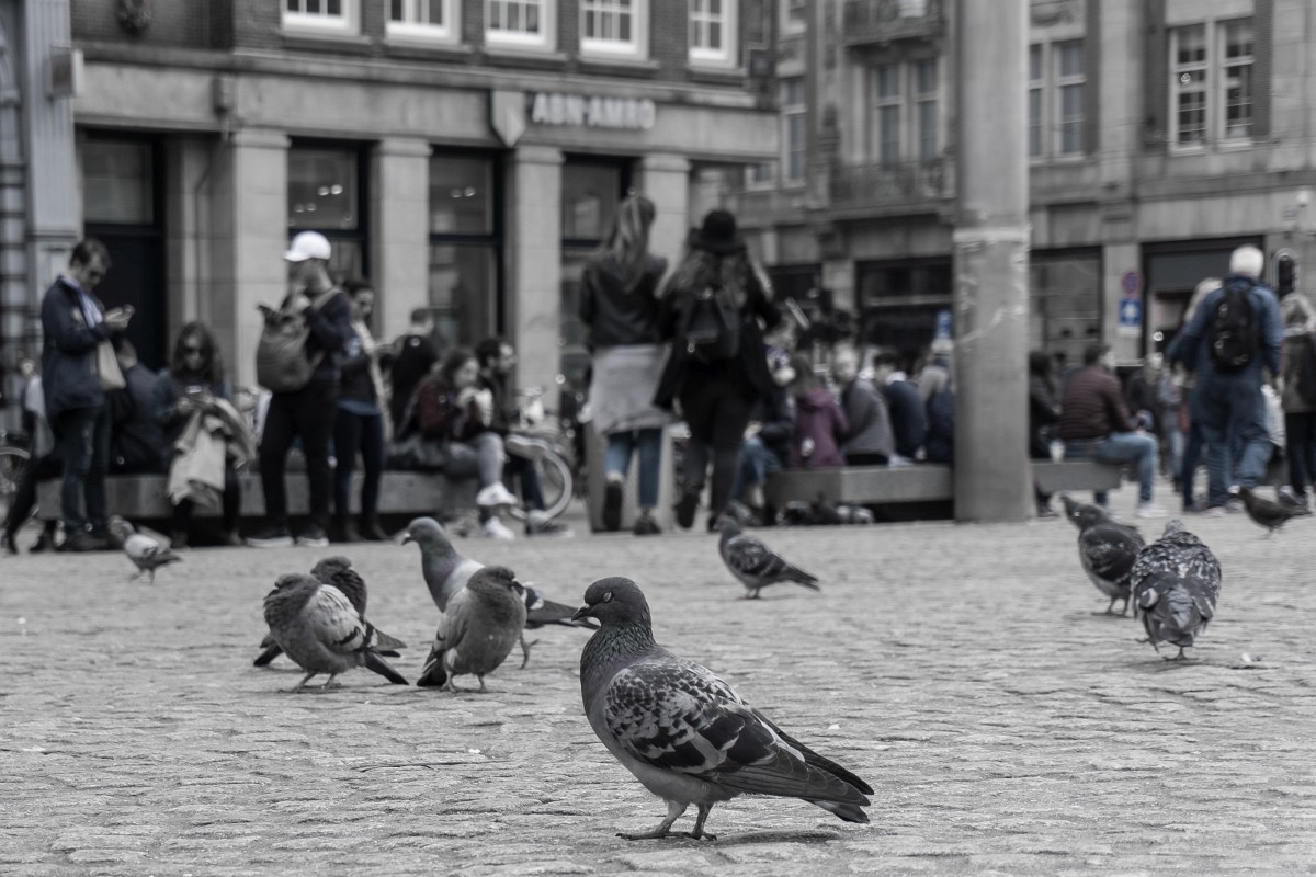 foto: [20170929PV01535]