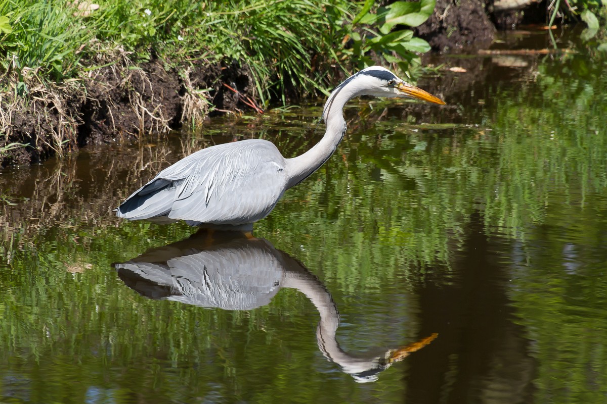 foto: [20160420PV4796]